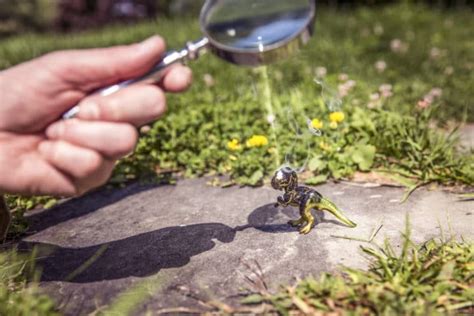 Can you burn ants with magnifying glass?
